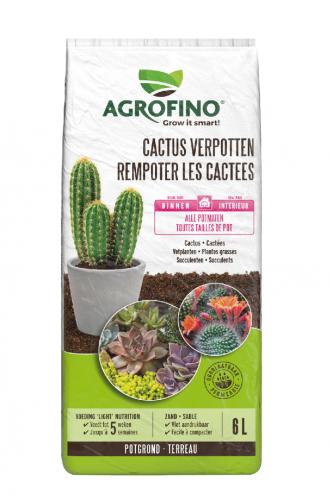 REMPOTER LES CACTEES